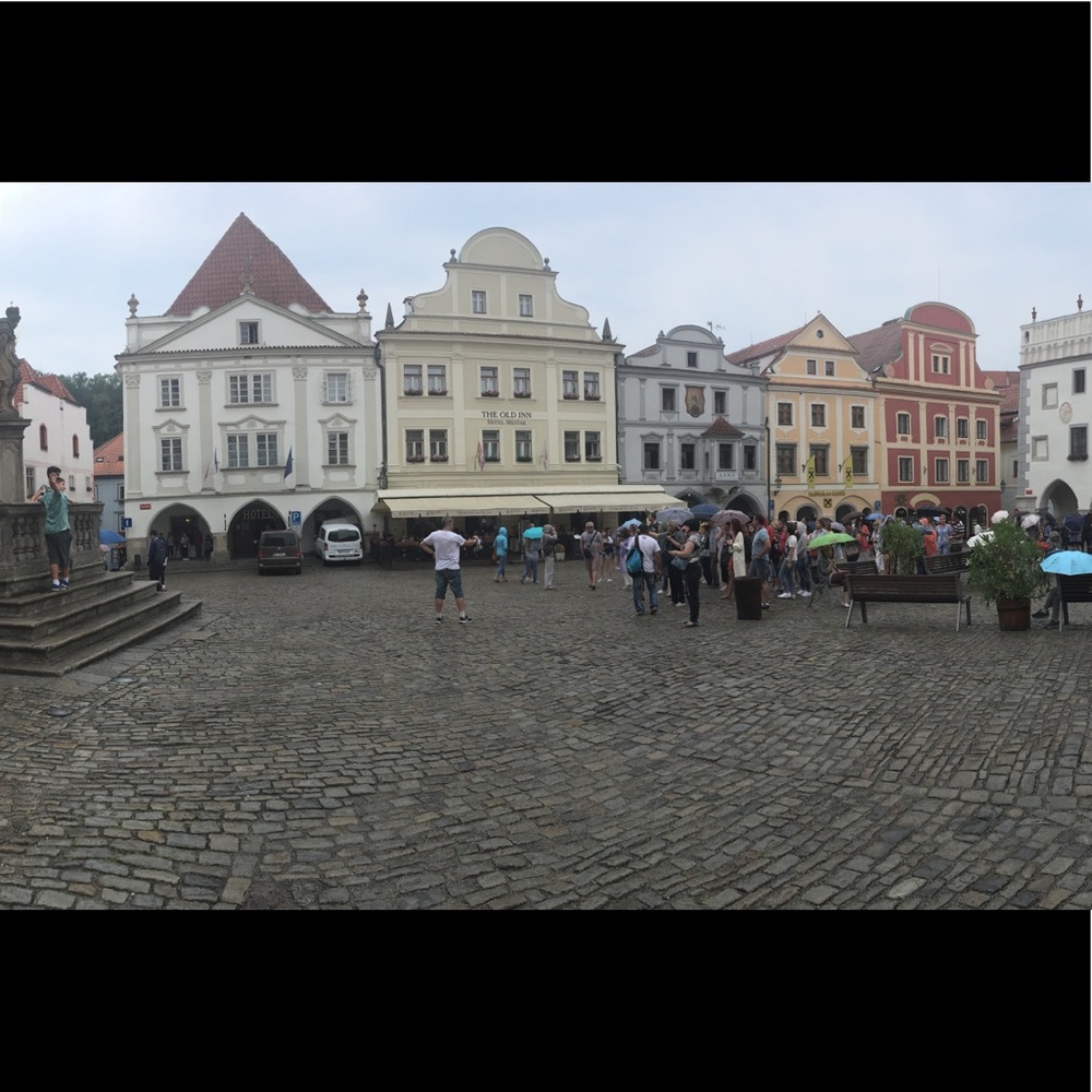 Meet your Posher, Sophie